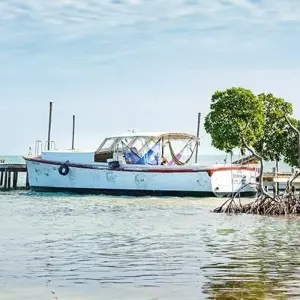 Explore Cancun to Panama City Travel Pass for 48 days with Bamba Travel and discover unforgettable experiences - Photo 10