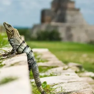 Explore Mexico & Guatemala Circuit (from Cancun) Travel Pass for 18 days with Bamba Travel and discover unforgettable experiences - Photo 11