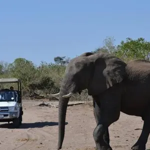 Explore Victoria Falls & Chobe Adventure 4D/3N (from Livingstone) for 4 days with Bamba Travel and discover unforgettable experiences - Photo 3