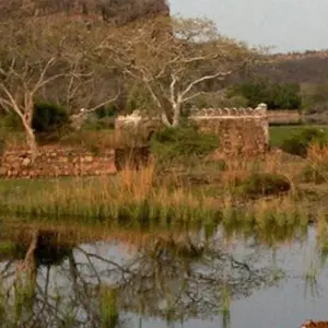 Explore Golden Triangle & Tiger Experience 9D/8N for 9 days with Bamba Travel and discover unforgettable experiences - Photo 6