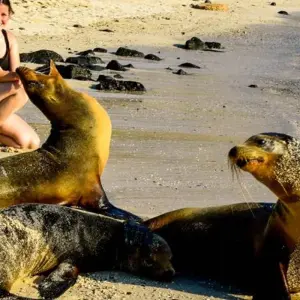 Explore Galapagos Island Hopping Adventure 5D/4N for 5 days with Bamba Travel and discover unforgettable experiences - Photo 3