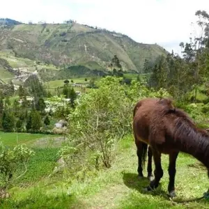 Explore Ecuador Volcanoes Adventure 5D/4N for 5 days with Bamba Travel and discover unforgettable experiences - Photo 7