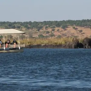 Explore Victoria Falls & Chobe Adventure 4D/3N (from Victoria Falls) for 4 days with Bamba Travel and discover unforgettable experiences - Photo 5