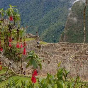 Explore Lares Trek to Machu Picchu 5D/4N for 5 days with Bamba Travel and discover unforgettable experiences - Photo 4