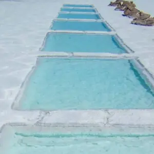 Explore Salta Desert Explorer 5D/4N for 5 days with Bamba Travel and discover unforgettable experiences - Photo 5