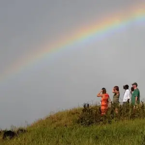 Explore Victoria Falls & Chobe Adventure 4D/3N (from Victoria Falls) for 4 days with Bamba Travel and discover unforgettable experiences - Photo 7