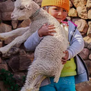 Explore Lares Trek to Machu Picchu 5D/4N for 5 days with Bamba Travel and discover unforgettable experiences - Photo 6