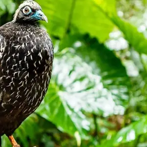 Explore Iguazu Falls Adventure 3D/2N (Foz to Puerto) for 3 days with Bamba Travel and discover unforgettable experiences - Photo 8