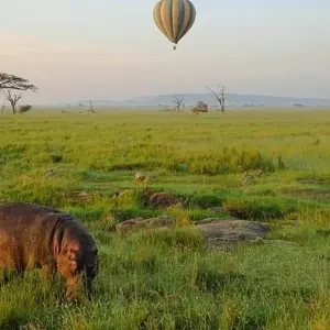 Explore Highlights of Tanzania Safari 5D/4N (Tarangire, Serengeti & Ngorongoro) for 5 days with Bamba Travel and discover unforgettable experiences - Photo 4