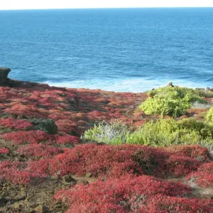 Explore Galapagos Island Hopping Adventure 5D/4N for 5 days with Bamba Travel and discover unforgettable experiences - Photo 7