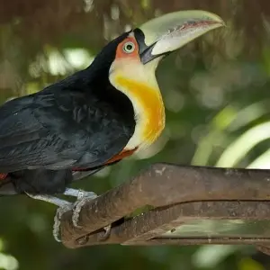 Explore Iguazu Falls Adventure 3D/2N (Foz to Puerto) for 3 days with Bamba Travel and discover unforgettable experiences - Photo 11