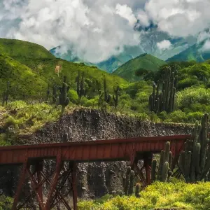 Explore Salta Desert Explorer 5D/4N for 5 days with Bamba Travel and discover unforgettable experiences - Photo 11