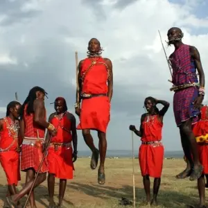 Explore Highlights of Tanzania Safari 5D/4N (Tarangire, Serengeti & Ngorongoro) for 5 days with Bamba Travel and discover unforgettable experiences - Photo 8