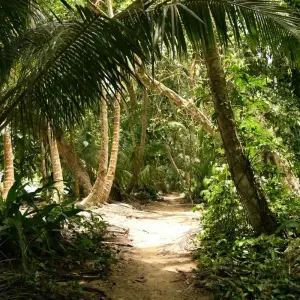 Explore Tortuguero National Park Adventure 3D/2N for 3 days with Bamba Travel and discover unforgettable experiences - Photo 5