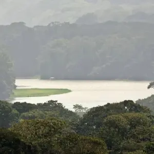 Explore Tortuguero National Park Adventure 3D/2N for 3 days with Bamba Travel and discover unforgettable experiences - Photo 6