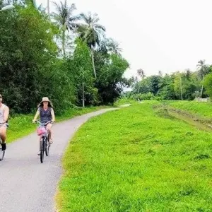 Explore Bangkok to Singapore Travel Pass for 21 days with Bamba Travel and discover unforgettable experiences - Photo 3