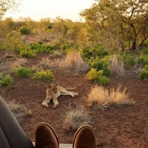 Explore 8 Nights Cape Kruger and Jo'burg for 8 days with Bantu Safaris and discover unforgettable experiences - Photo 2