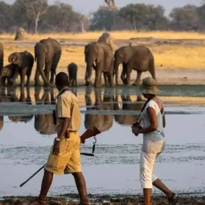 Explore Victoria Falls and Hwange Safari for 5 days with Bantu Safaris and discover unforgettable experiences - Photo 2