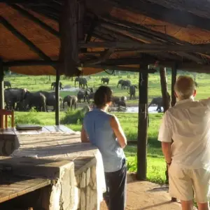 Explore Victoria Falls and Hwange Safari for 5 days with Bantu Safaris and discover unforgettable experiences - Photo 3