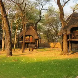 Explore Victoria Falls and Hwange Safari for 5 days with Bantu Safaris and discover unforgettable experiences - Photo 4