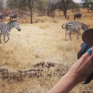 Explore 8 Nights Cape Kruger and Jo'burg for 8 days with Bantu Safaris and discover unforgettable experiences - Photo 6