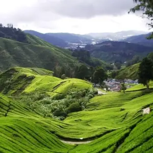 Explore Singapore to Bangkok Travel Pass for 20 days with Bamba Travel and discover unforgettable experiences - Photo 11