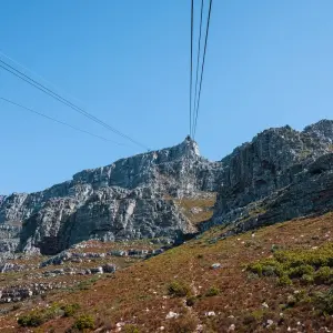 Explore Beach and Bush Safari for 5 days with Bantu Safaris and discover unforgettable experiences - Photo 4