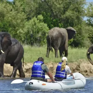 Explore Victoria Falls and Hwange Safari for 5 days with Bantu Safaris and discover unforgettable experiences - Photo 5