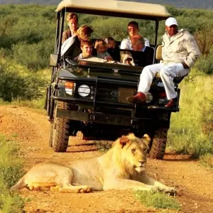 Explore Beach and Bush Safari for 5 days with Bantu Safaris and discover unforgettable experiences - Photo 9