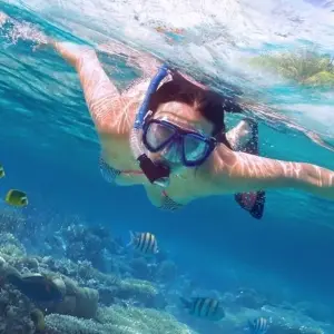 Explore Hanoi to Singapore Travel Pass for 44 days with Bamba Travel and discover unforgettable experiences - Photo 11