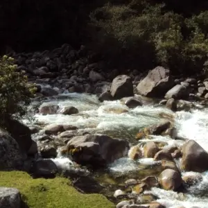 Explore Choro Trail 3D/2N for 3 days with Bamba Travel and discover unforgettable experiences - Photo 3