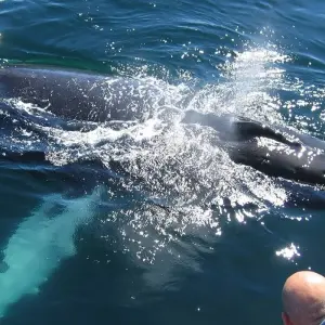 Explore Beach and Bush Safari for 5 days with Bantu Safaris and discover unforgettable experiences - Photo 11