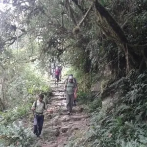 Explore Choro Trail 3D/2N for 3 days with Bamba Travel and discover unforgettable experiences - Photo 7