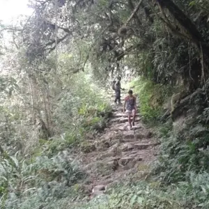 Explore Choro Trail 3D/2N for 3 days with Bamba Travel and discover unforgettable experiences - Photo 8