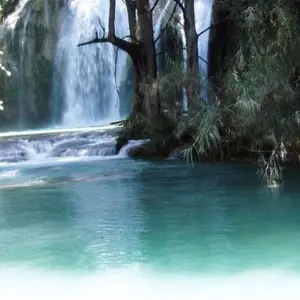 Explore Mexico Highlights (from Mexico City) Express Travel Pass for 12 days with Bamba Travel and discover unforgettable experiences - Photo 8