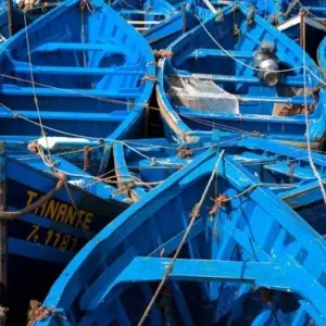 Explore Essaouira Escape 4D/3N for 4 days with Bamba Travel and discover unforgettable experiences - Photo 8