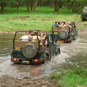Explore Ranthambore Tiger Experience 5D/4N (from Delhi) for 5 days with Bamba Travel and discover unforgettable experiences - Photo 3