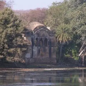 Explore Ranthambore Tiger Experience 5D/4N (from Delhi) for 5 days with Bamba Travel and discover unforgettable experiences - Photo 5