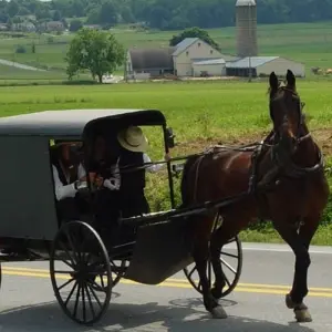 Explore Niagara Falls, Washington DC, Philadelphia & Amish Country 4D/3N (from New York) for 4 days with Bamba Travel and discover unforgettable experiences - Photo 3