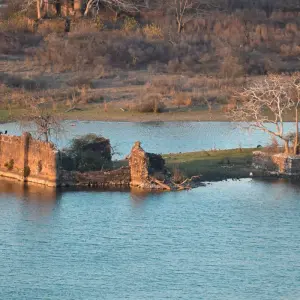 Explore Ranthambore Tiger Experience 5D/4N (from Delhi) for 5 days with Bamba Travel and discover unforgettable experiences - Photo 7
