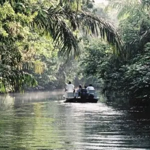 Explore Tortuguero National Park Adventure 4D/3N for 4 days with Bamba Travel and discover unforgettable experiences - Photo 3