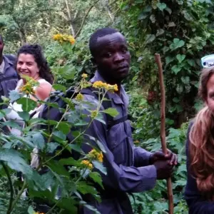 Explore Uganda Gorilla Safari Air-Expedition 4D/3N for 4 days with Bamba Travel and discover unforgettable experiences - Photo 3