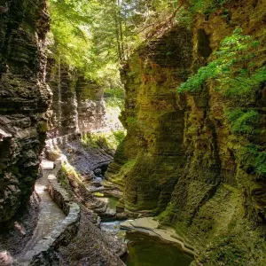 Explore Niagara Falls, Washington DC, Philadelphia & Amish Country 4D/3N (from New York) for 4 days with Bamba Travel and discover unforgettable experiences - Photo 5