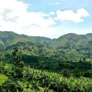 Explore Uganda Gorilla Safari Air-Expedition 4D/3N for 4 days with Bamba Travel and discover unforgettable experiences - Photo 5