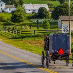 Explore Niagara Falls, Washington DC, Philadelphia & Amish Country 4D/3N (from New York) for 4 days with Bamba Travel and discover unforgettable experiences - Photo 10