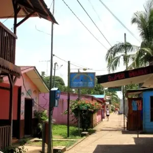 Explore Tortuguero National Park Adventure 4D/3N for 4 days with Bamba Travel and discover unforgettable experiences - Photo 9