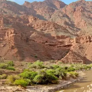 Explore Salta to La Paz Salt Flats Adventure 10D/9N for 10 days with Bamba Travel and discover unforgettable experiences - Photo 4