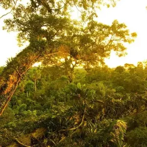 Explore Yasuni Amazon Expedition 5D/4N for 5 days with Bamba Travel and discover unforgettable experiences - Photo 2