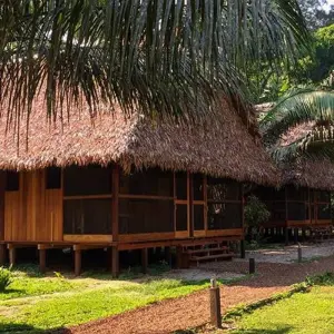 Explore Puerto Maldonado Amazon Field Station 3D/2N (from Puerto Maldonado) for 3 days with Bamba Travel and discover unforgettable experiences - Photo 3