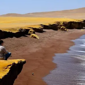 Explore Sandboarding & Nazca Lines Adventure 3D/2N for 3 days with Bamba Travel and discover unforgettable experiences - Photo 3